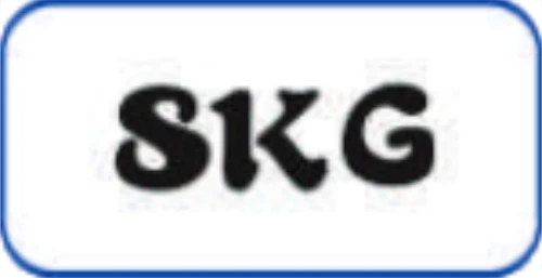 YONGYUNG B2B headphone manufacturer partner SKG